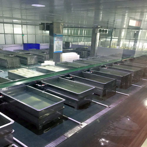 青岛高恩机械 泡菜食品机械行业的专业制造者