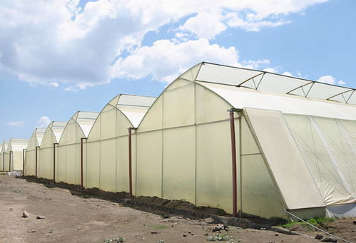 薄膜温室大棚设计中风压取值的确定方法