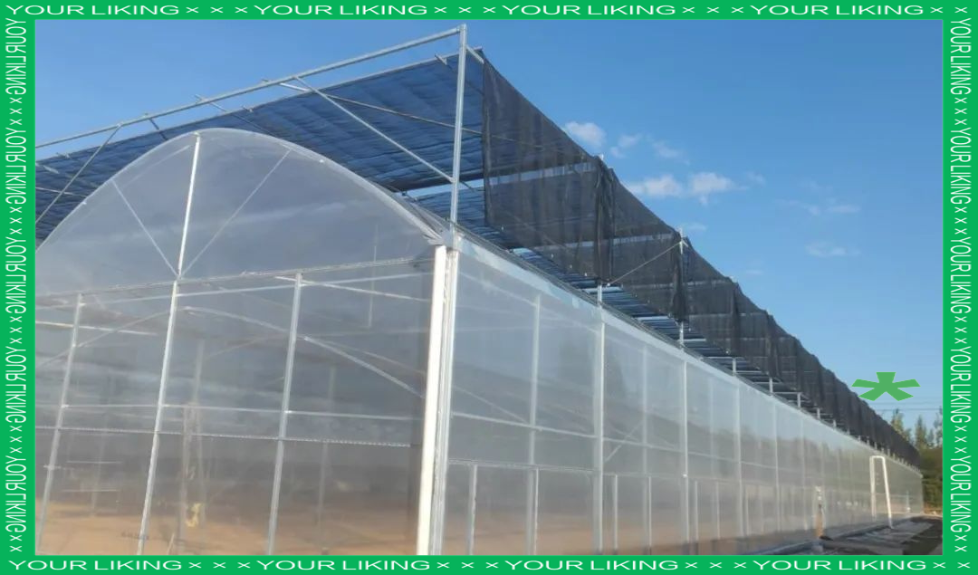 连栋薄膜温室大棚项目火热施工中，大棚薄膜技术助力现代农业