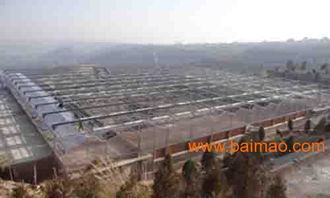 甘肃温室大棚设计新趋势 黄河金属制品引领行业变革