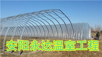 山西蔬菜钢架大棚建造 成本解析与专家选择指南
