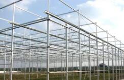 昆明花卉育苗温室价位深耕市场 大棚薄膜的成本考量与技术选型