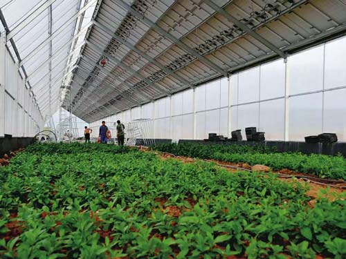 楚宏农业 专业打造昆明温室大棚，助力高原特色农业发展