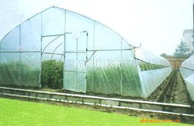 622型单体钢管温室大棚薄膜 技术特点与应用优势
