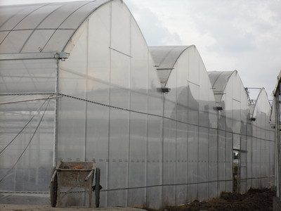 【限时大折扣】解析上海普拉斯克PEP利得膜 高品质大棚薄膜配件如何赋能现代温室工程