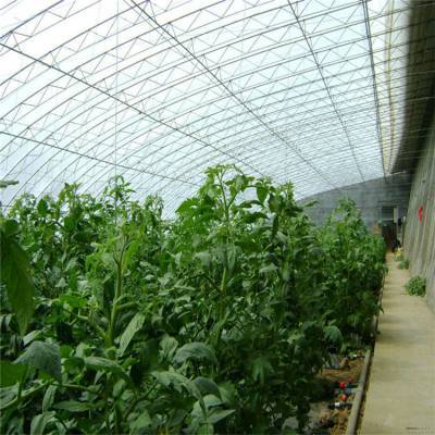 钢结构薄膜大棚工程造价解析及优质供应商推荐——以七洲种植花卉为例