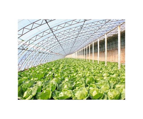 吴县生态玻璃大棚厂家及大棚薄膜选购指南