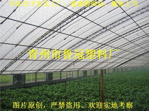 青州市鲁冠塑料厂 一站式农膜与水产养殖膜解决方案专家