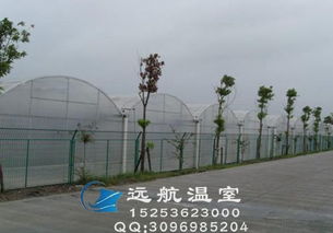 河南连栋薄膜大棚 高效农业的“透明外衣”