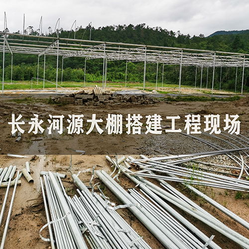 温室建设指南 价格趋势、厂家选择与大棚薄膜应用
